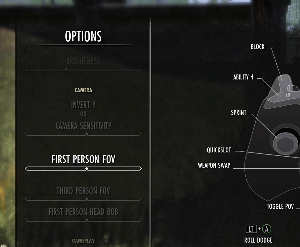 The camera settings in Elder Scrolls Online, showing severeal sliders